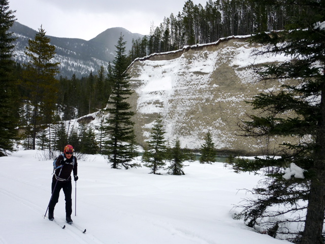 skiing at nipika